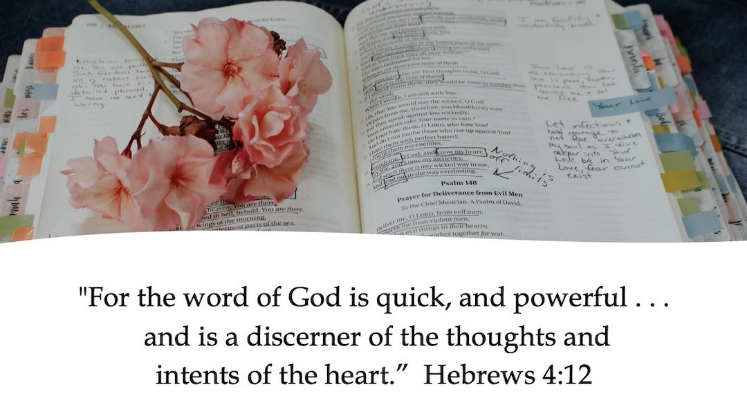 For the Word of God