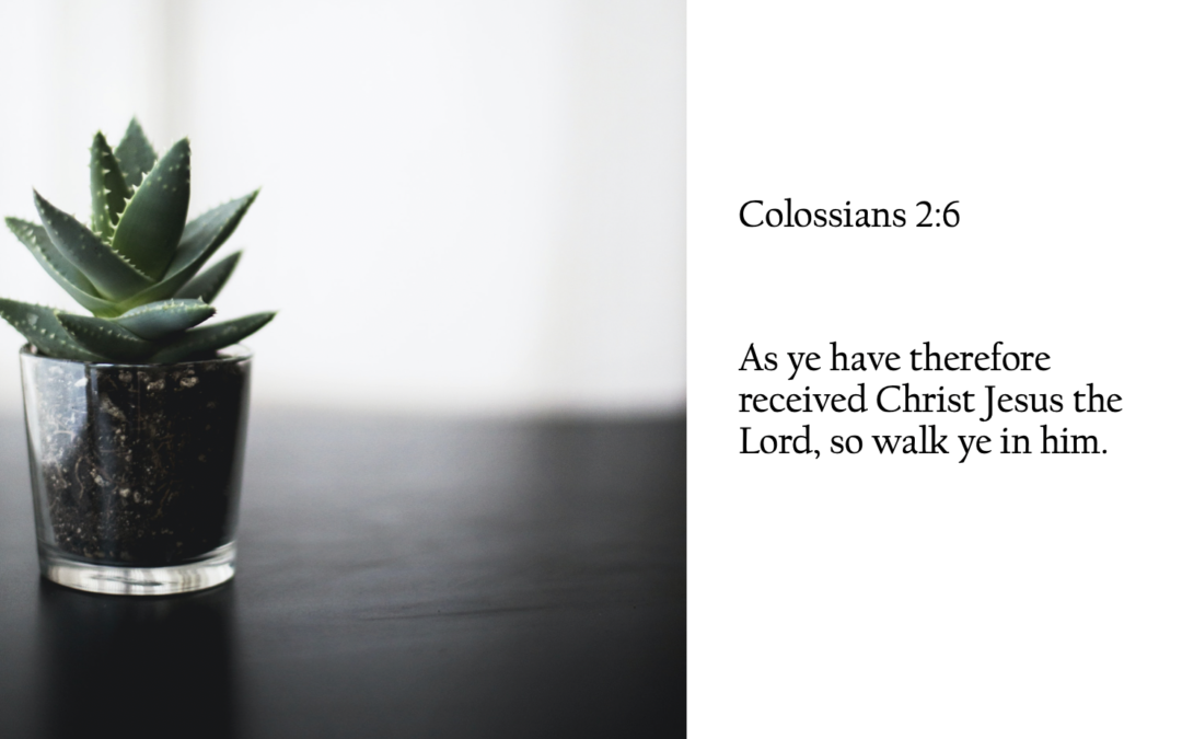 Walk in Him